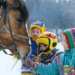 фото "Без названия"