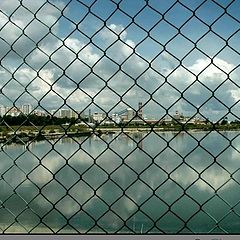 photo "The Factory through the Net"