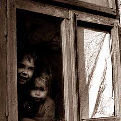 фото "In the Window"