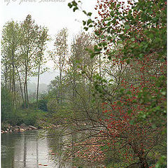 photo ""River Saja""