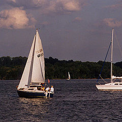 фото "Sails"
