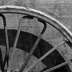 photo "A wheel"