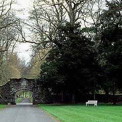 фото "White Bench"