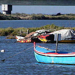 фото "River Boats"