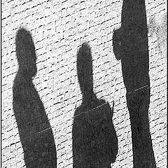 фото "Shadows Talk"