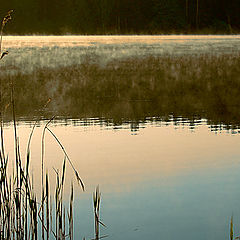 photo "Morning on lake Zhuchka."