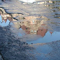 фото "in the puddle"