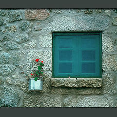 photo "A Window"