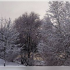 фото "Зимний вечер после снегопада"