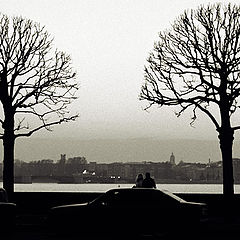 photo "The pair"