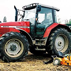 фото "Family - Farmyard(3)"