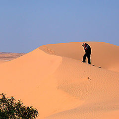 photo "Dunes 1"