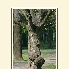 photo "Tree of problems"