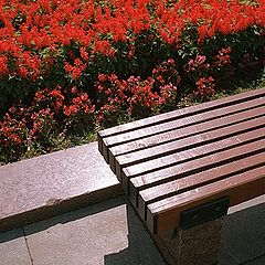 photo "Memorial"