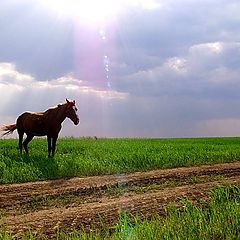 фото "Вечереет..."