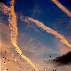 photo "Air painting on sky canvas"