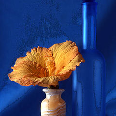 фото "Still life in Blue & Gold"