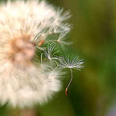 photo "departure"