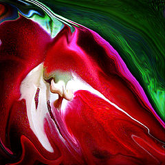 photo "Color of the tulip."