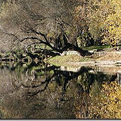 photo "Fall Reflections"