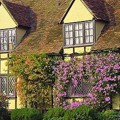 photo "English Cottage"