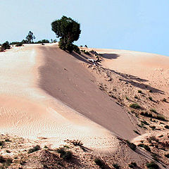 photo "Dunes 3"