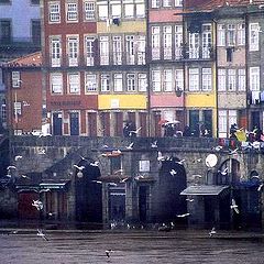 фото "Ribeira in the Winter"