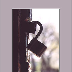 фото "the lock"