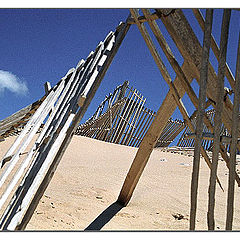 фото "Fences II"