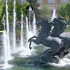 photo "Water horses"