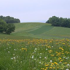 photo "Fields"