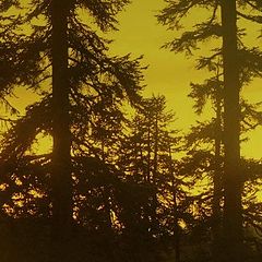photo "Sunset in Sierra Nevada"