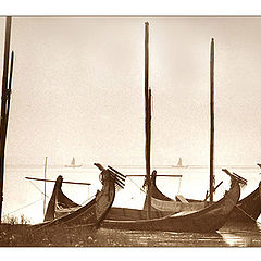 photo "Old boats"