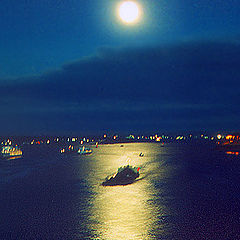фото "Moonlight"