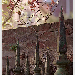 фото "Old Fence"