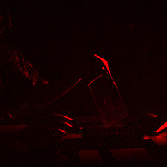 photo "In the darkroom..."