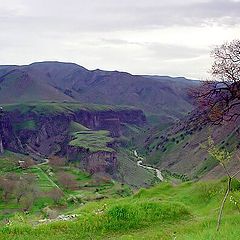 photo "Spring in Garni"