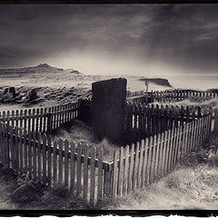 photo "Grave with a View"