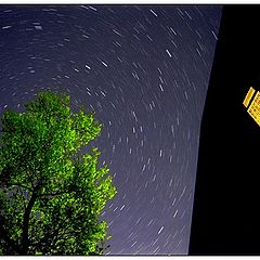 photo "Stars, tree and house."