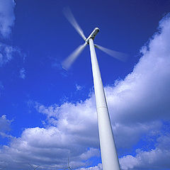 photo "Wind Farm"