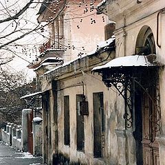 photo "One gray day in January"