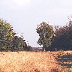 фото "Холст, масло."