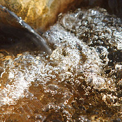 photo "stream"