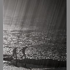 фото "Дождь щиплет камни, листья, край волны. (Иосиф Бро"