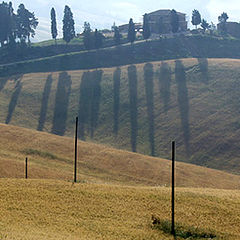 photo "Toscana 1a"