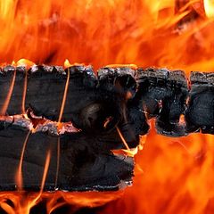 photo "From Hell"