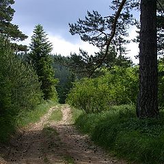 photo "In the Middle of Nowhere"