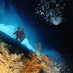 фото "Diving 2"