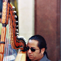 photo "The Harp Player"