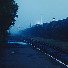 photo "Night train"